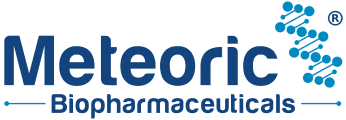 meteoric-new-logo